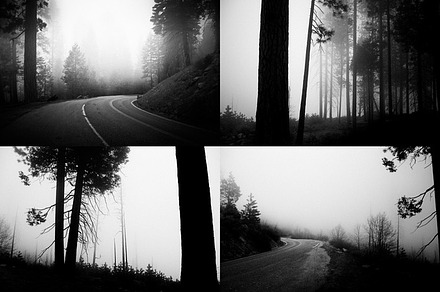 Road in the foggy woods (6bw photos)