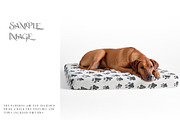 Pet Bed Mockups with Smart Object, a Product Mockup by mock-ups (Thumbnail 8 of 13)