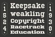 Mechwerk – Slab Serif Family, a Slab Serif Font by Invasi Studio (Thumbnail 7 of 13)