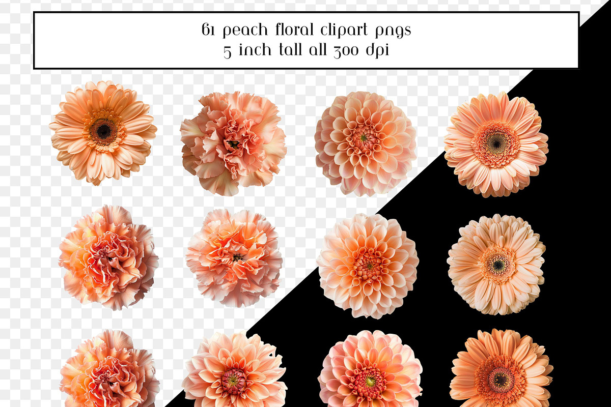 Peach Floral Clipart, Peach Flowers, an Object Graphic by AllTheKewtClipart (Photo 5 of 5)