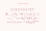 Brookley - Monoline Script Font, a Script Font by Danielle Eneh (Thumbnail 7 of 12)