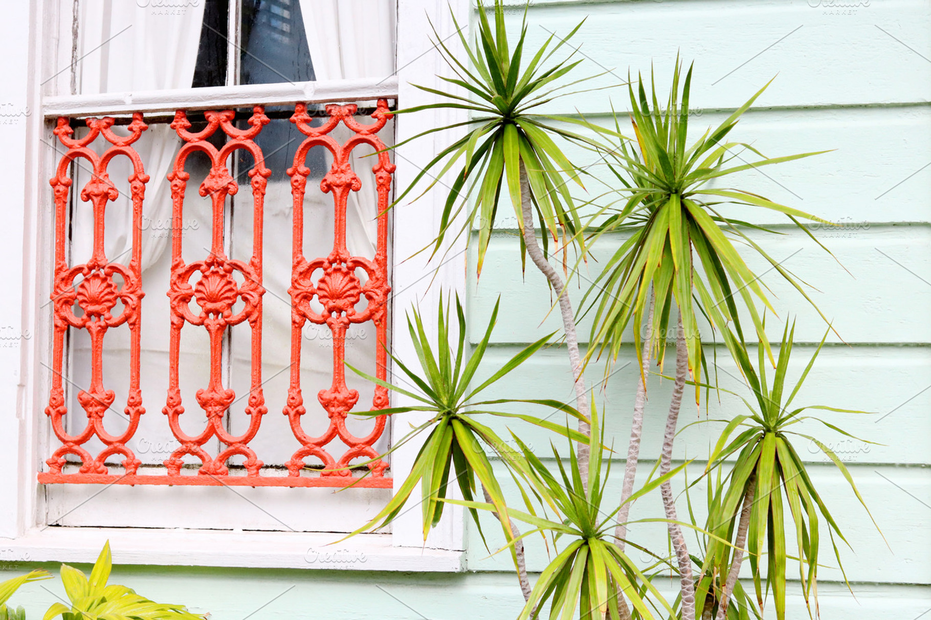 Palm leaves featuring new orleans, porch, and plant, an Architecture Photo by Juliet Meeks Design