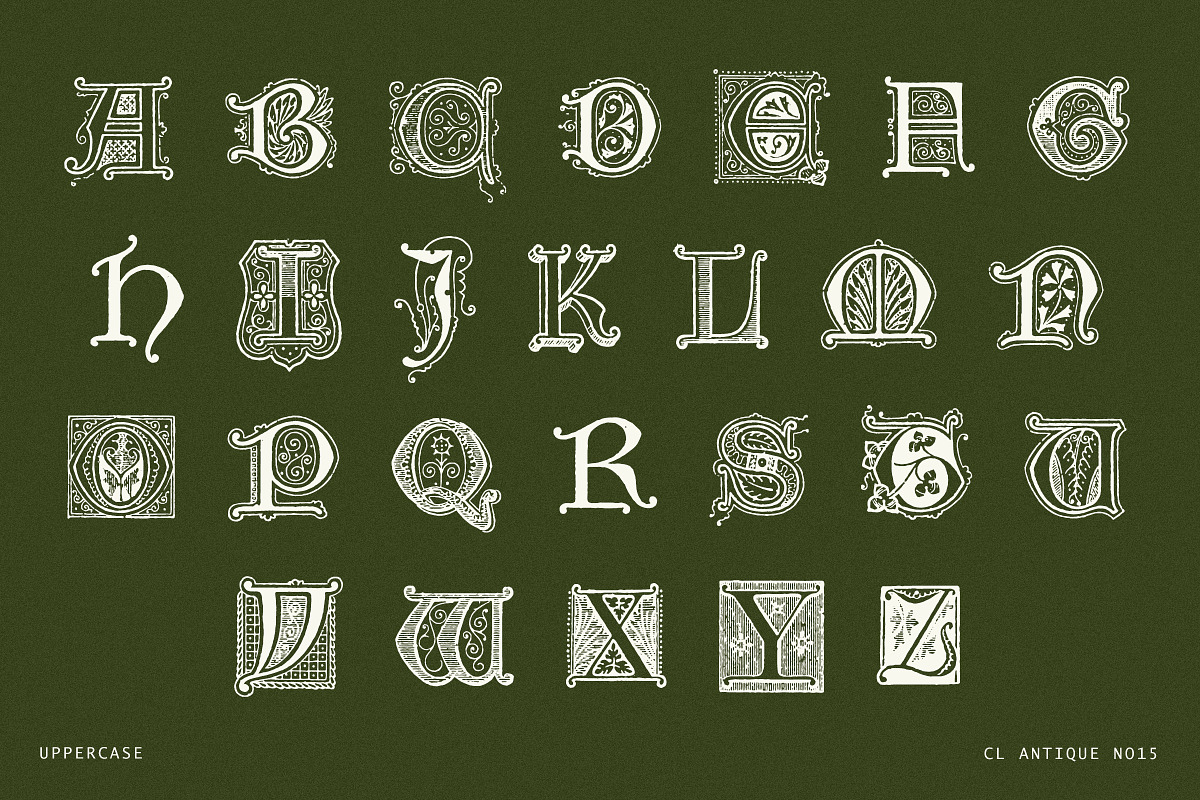 Ornate Botanical Drop Cap Font No15, a Serif Font by Century Library (Photo 4 of 5)