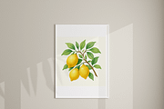 Amalfi Clipart Set, a Decorative Illustration by Pati Charm Studio (Thumbnail 9 of 10)