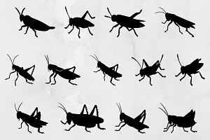 Grasshopper Silhouette SVG, an Animal Illustration by newminddesign