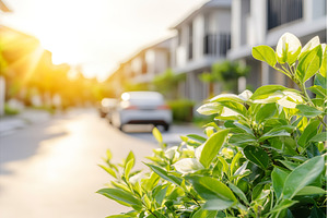 Green Foliage and blurred Suburban, a Nature Photo by Lermont51