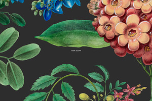 Botanical Elegant English Pattern