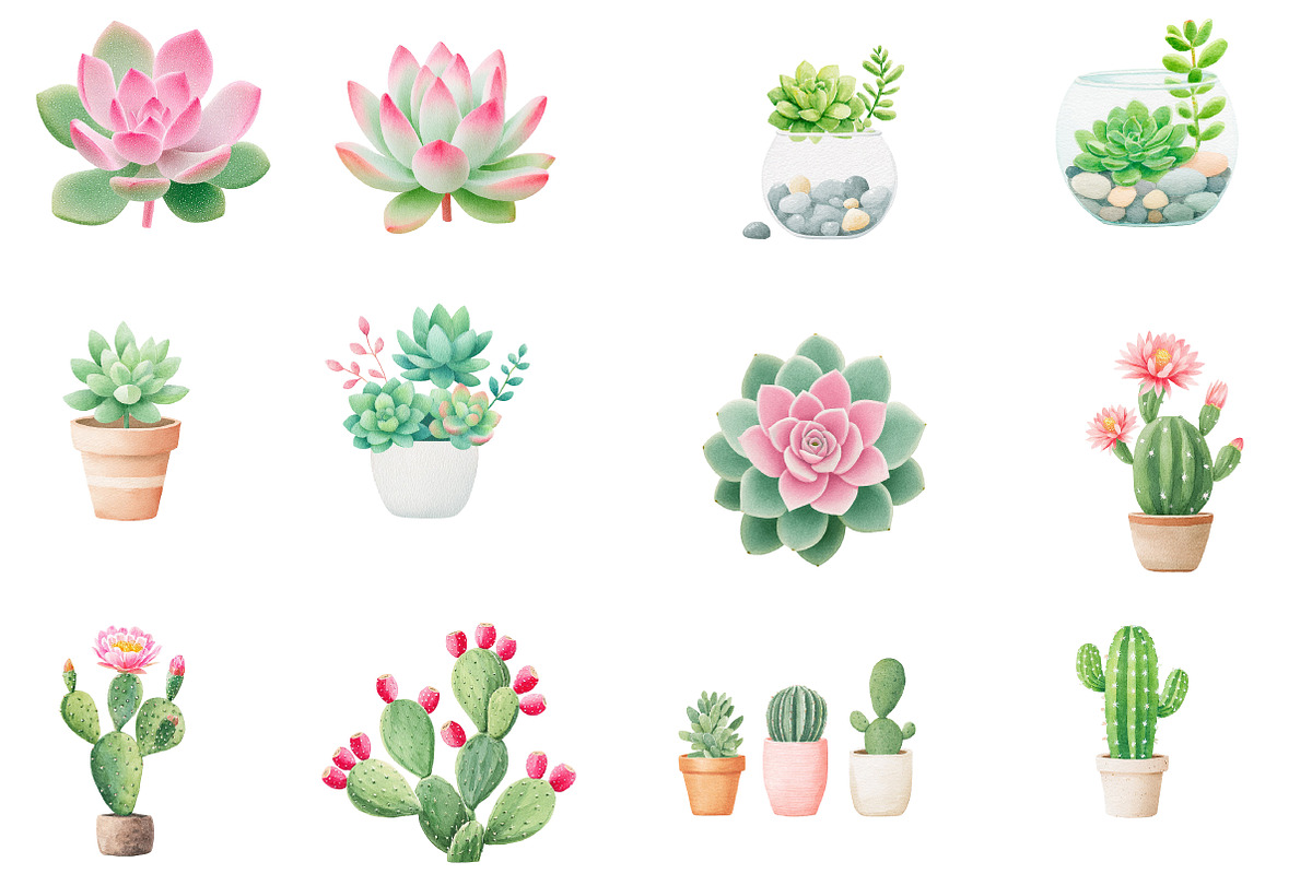 Watercolor succulent cactus clipart, an Illustration by Designworld (Photo 3 of 5)