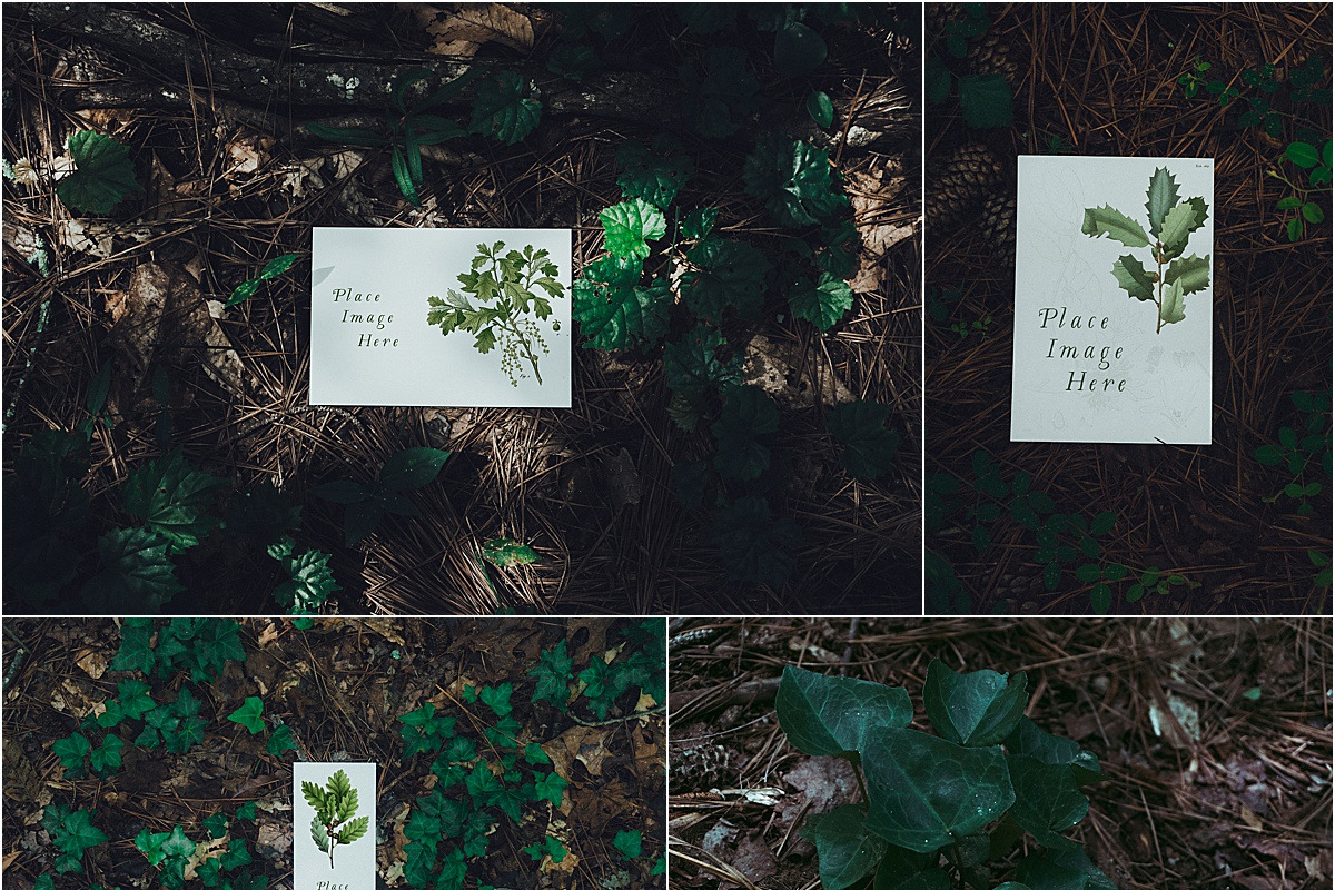 Foliage Frames Vol. 1 - Mockups, a Print Template by Wild Joy Studios (Photo 6 of 6)