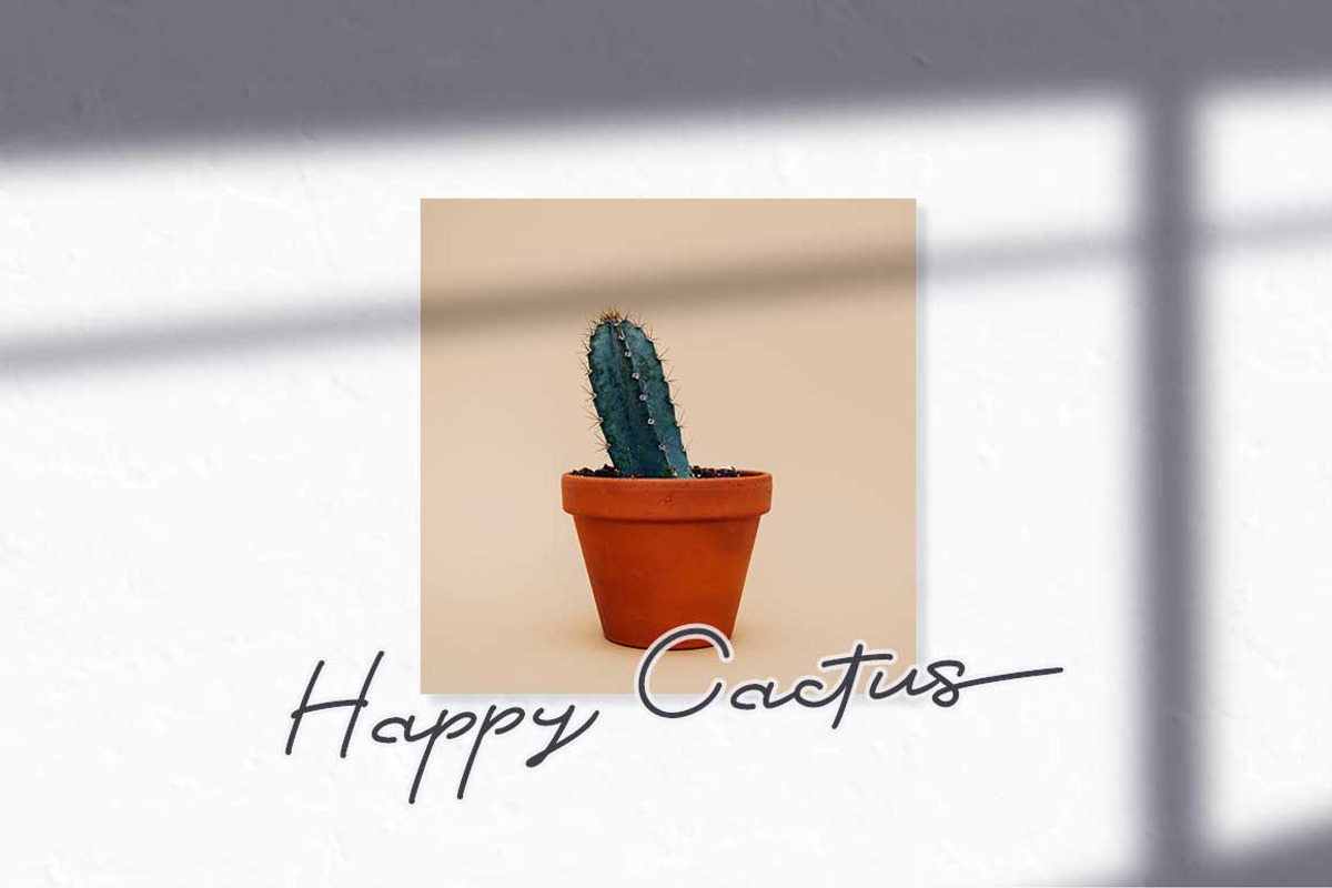 Claudette Signature | Signature Font, a Script Font by Ngapak Studio (Photo 6 of 11)