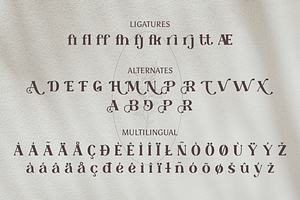 Serif Font