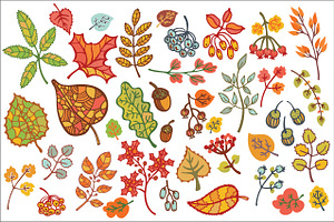 Autumn Leaves Set. Vector Clipart