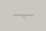 Embossed Botanical Textures & Frames, a Texture Graphic by Yana Lesiuk (Thumbnail 9 of 9)