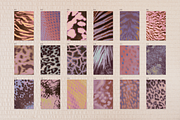 Feral blur backgrounds, a Background Graphic by kondratya (Thumbnail 8 of 11)