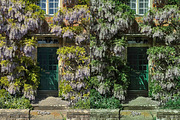 30 Mint Lightroom Collection, a Preset Add-On by 3Motional (Thumbnail 10 of 11)