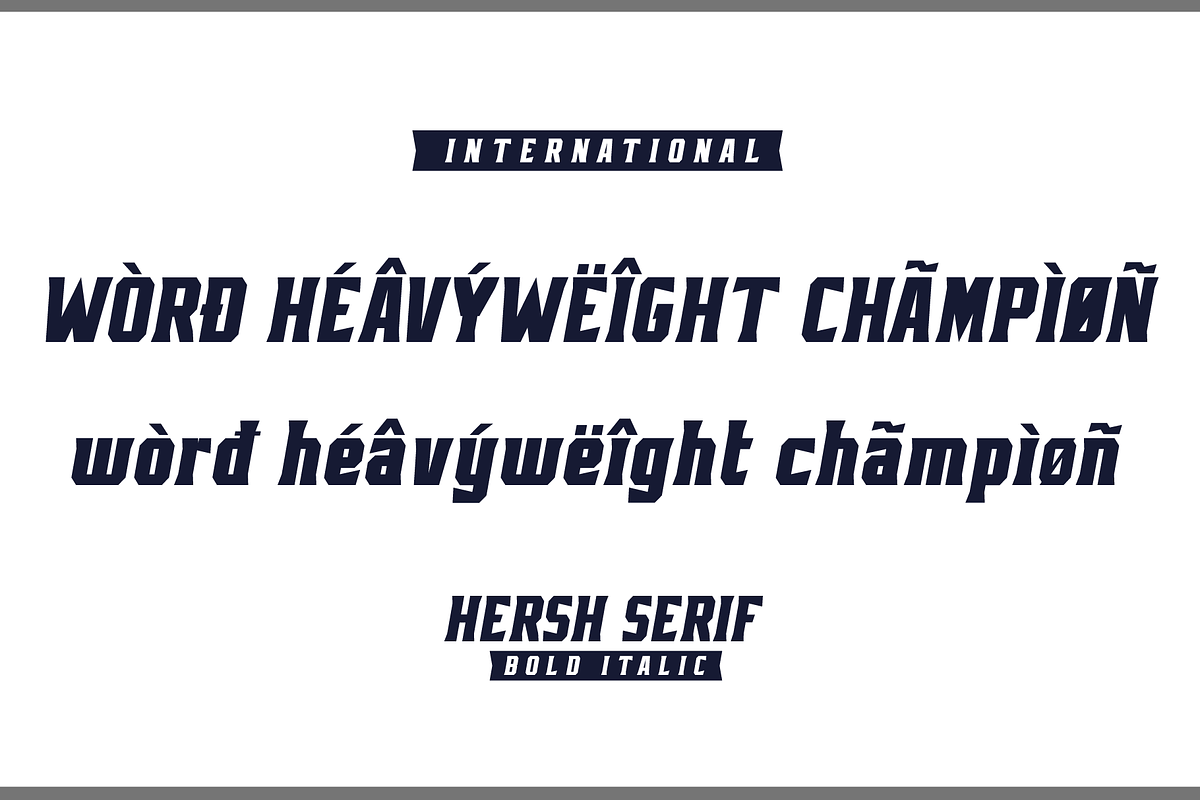 HERSH SERIF FONT FAMILY, a Serif Font by Alphabet Agency (Photo 14 of 14)