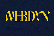 Averdyn, a Serif Font by zaaintype (Thumbnail 1 of 10)