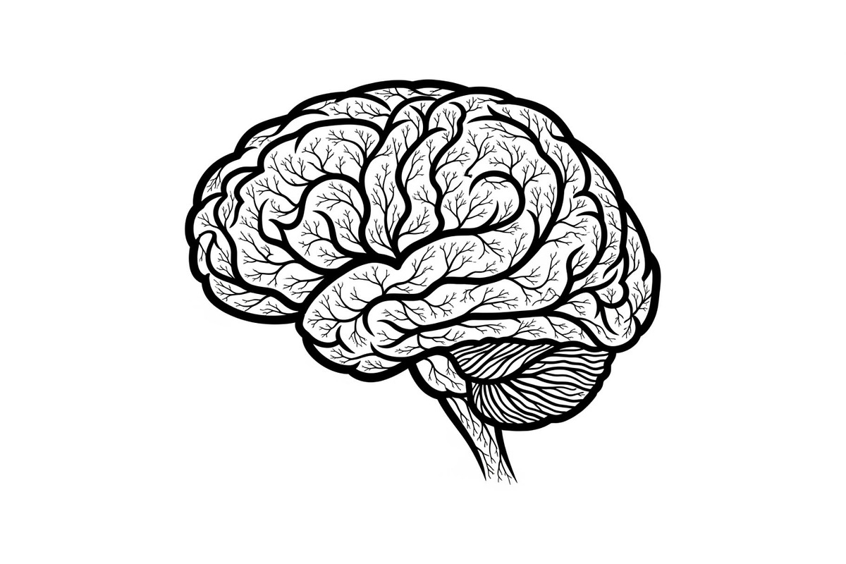 Brain Tree Knowledge Design Bundle, an Illustration by Gaye Art (Photo 19 of 31)