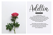 Delara Script, a Script Font by Nissa Studio (Thumbnail 6 of 12)