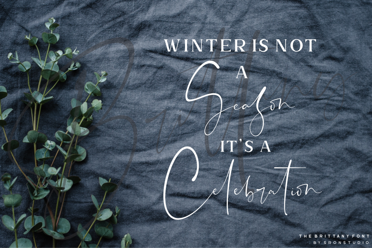 The Brittany / Font Trio, a Script Font by Sronstudio (Photo 15 of 19)