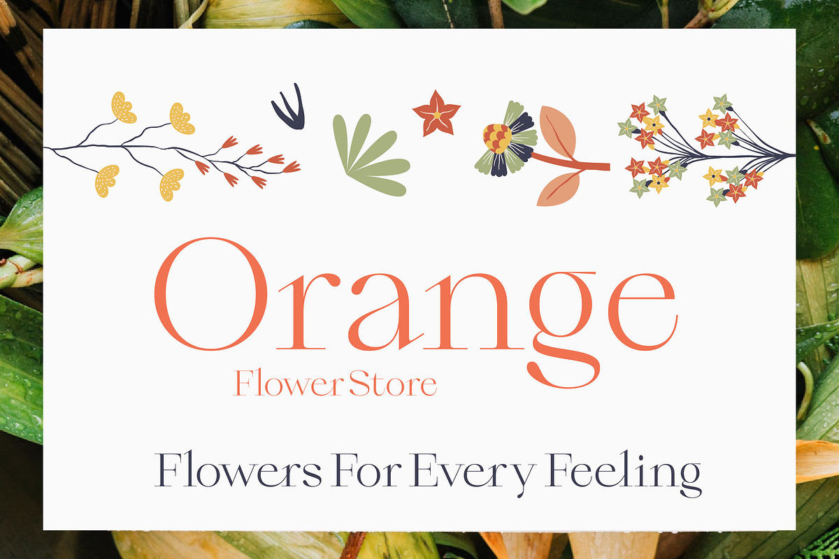 Qiona Elegant Modern Serif Font, a Serif Font by timelesstype.co (Photo 3 of 20)