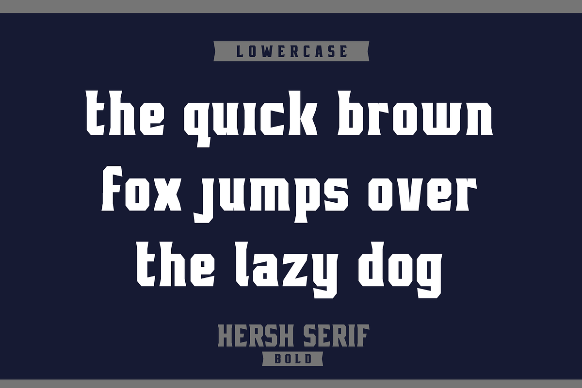 HERSH SERIF FONT FAMILY, a Serif Font by Alphabet Agency (Photo 9 of 14)