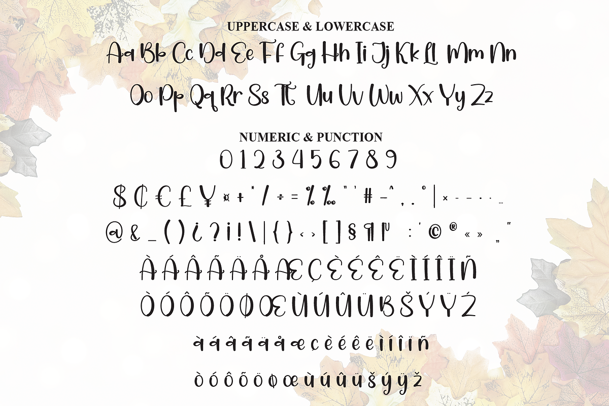 Autumn | Script Font, a Script Font by Scratchones (Photo 7 of 8)