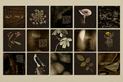 The Naturalist Social Media Bundle, a Social Media Template by The Flossy Finch (Thumbnail 7 of 22)