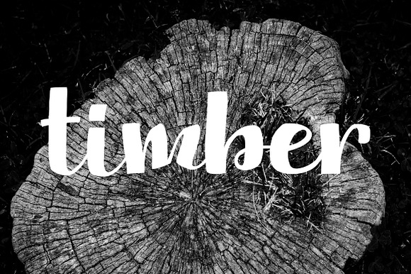 Timber preview 5