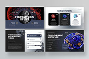 Biology Class Presentation Template, a Presentation Template by BrandPacks (Thumbnail 3 of 7)