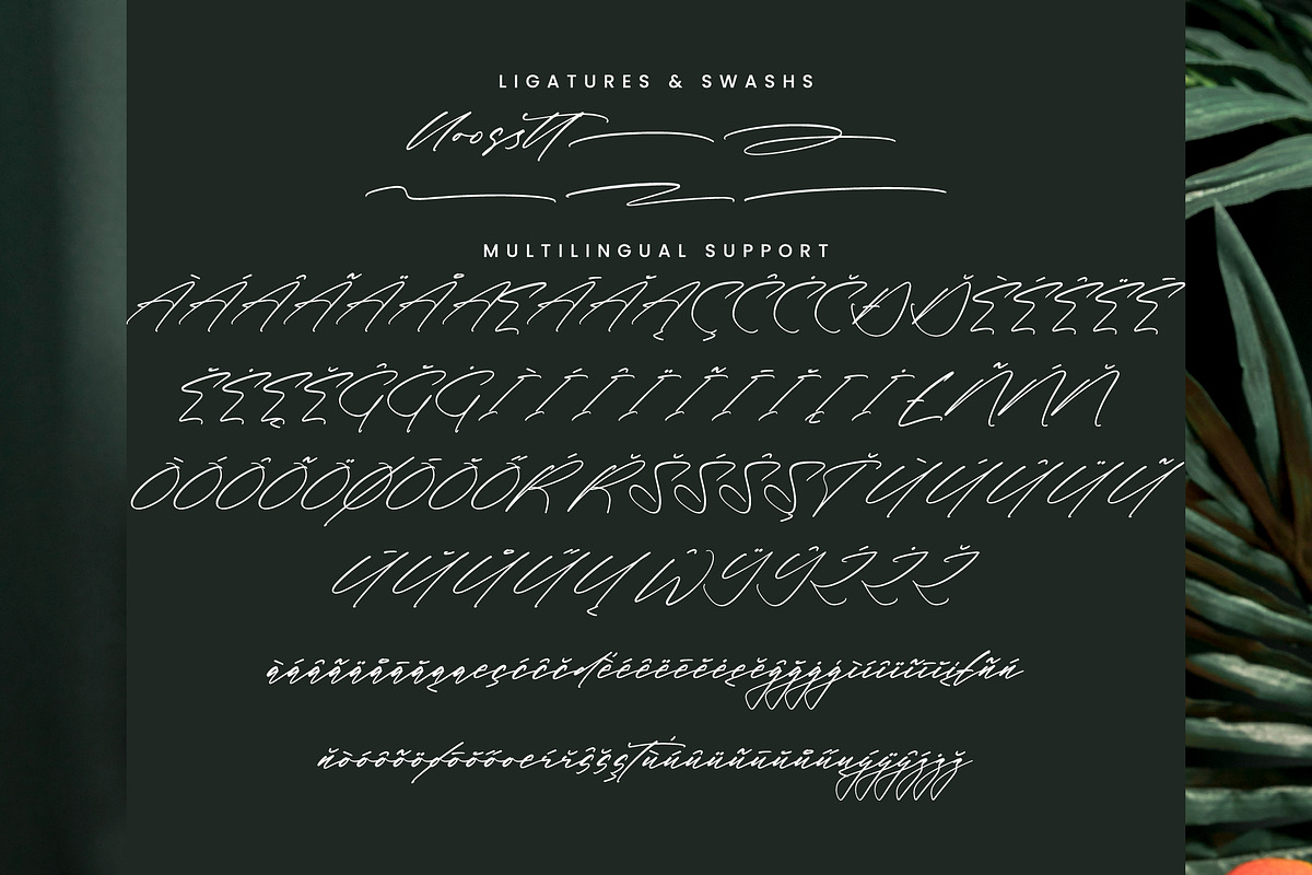 Bold Fade, a Script Font by Integritype Studio (Photo 14 of 15)
