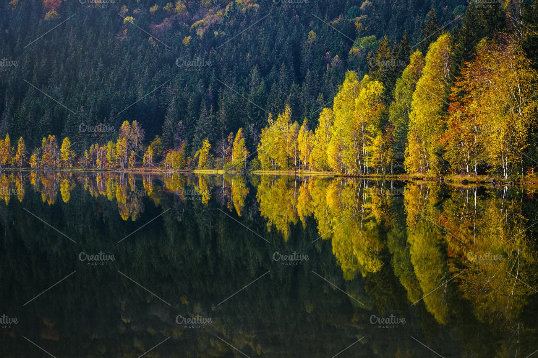 Autumn scenery with colorful trees, a Nature Photo by Alpine Dreams