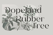 Hegam Modern and Stylish Serif Font, a Serif Font by Storytype Studio (Thumbnail 3 of 15)