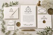 Baroque Ornament Collection, a Decorative Illustration by Papatongartist (Thumbnail 14 of 14)