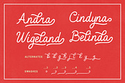 Delta Lake - Vintage Script Font Duo, a Script Font by Typebae (Thumbnail 3 of 8)
