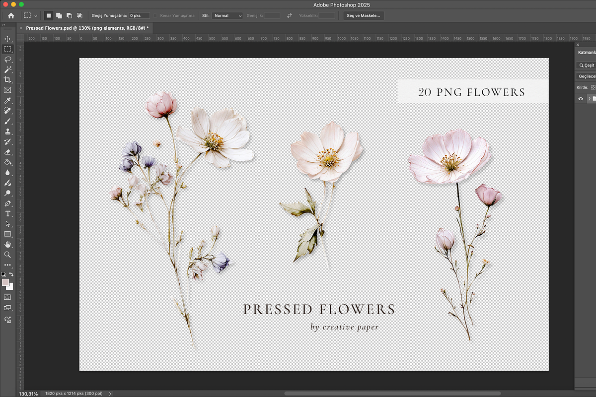 Pretty Wildflowers (Png) Elements, a Background Graphic by by creative paper (Photo 4 of 7)
