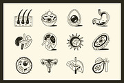 Anatomy Drawing Illustration, an Outline Icon by Vectors Market (Thumbnail 5 of 8)