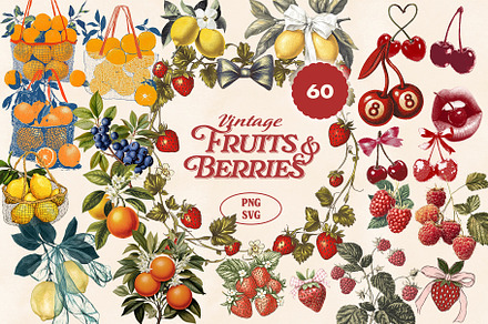 Vintage Fruit & Berry Bundle PNG SVG, a Food Illustration by Marie T