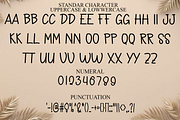 Rain Forest, a Sans Serif Font by FreshTypeINK (Thumbnail 5 of 8)