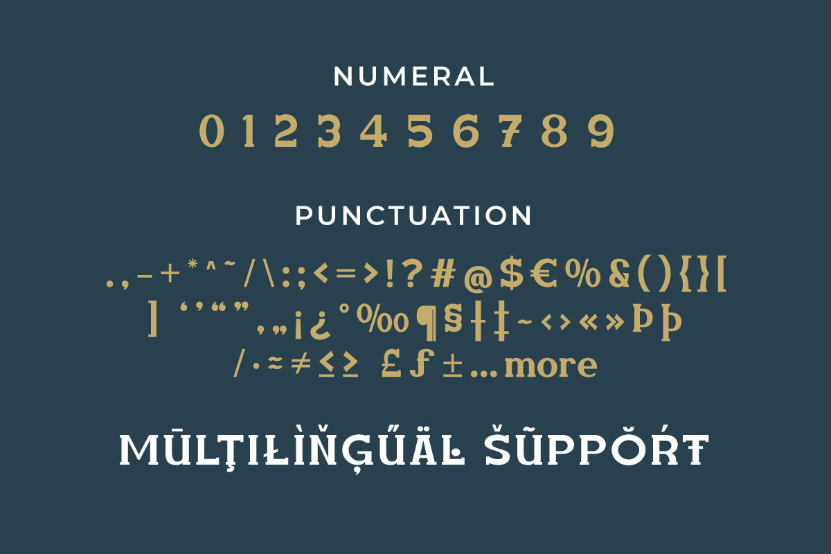 Amuttix - Serif Display Font, a Serif Font by twinstd (Photo 8 of 10)
