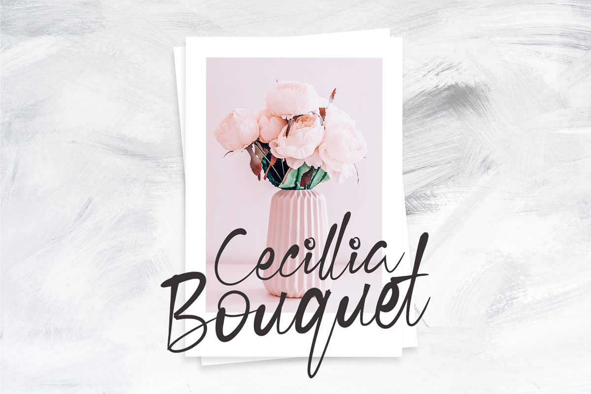Cecillia - Script preview 8