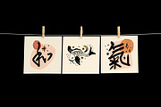 Oriental Bundle, an Animal Illustration by Annie Konst (Thumbnail 5 of 22)