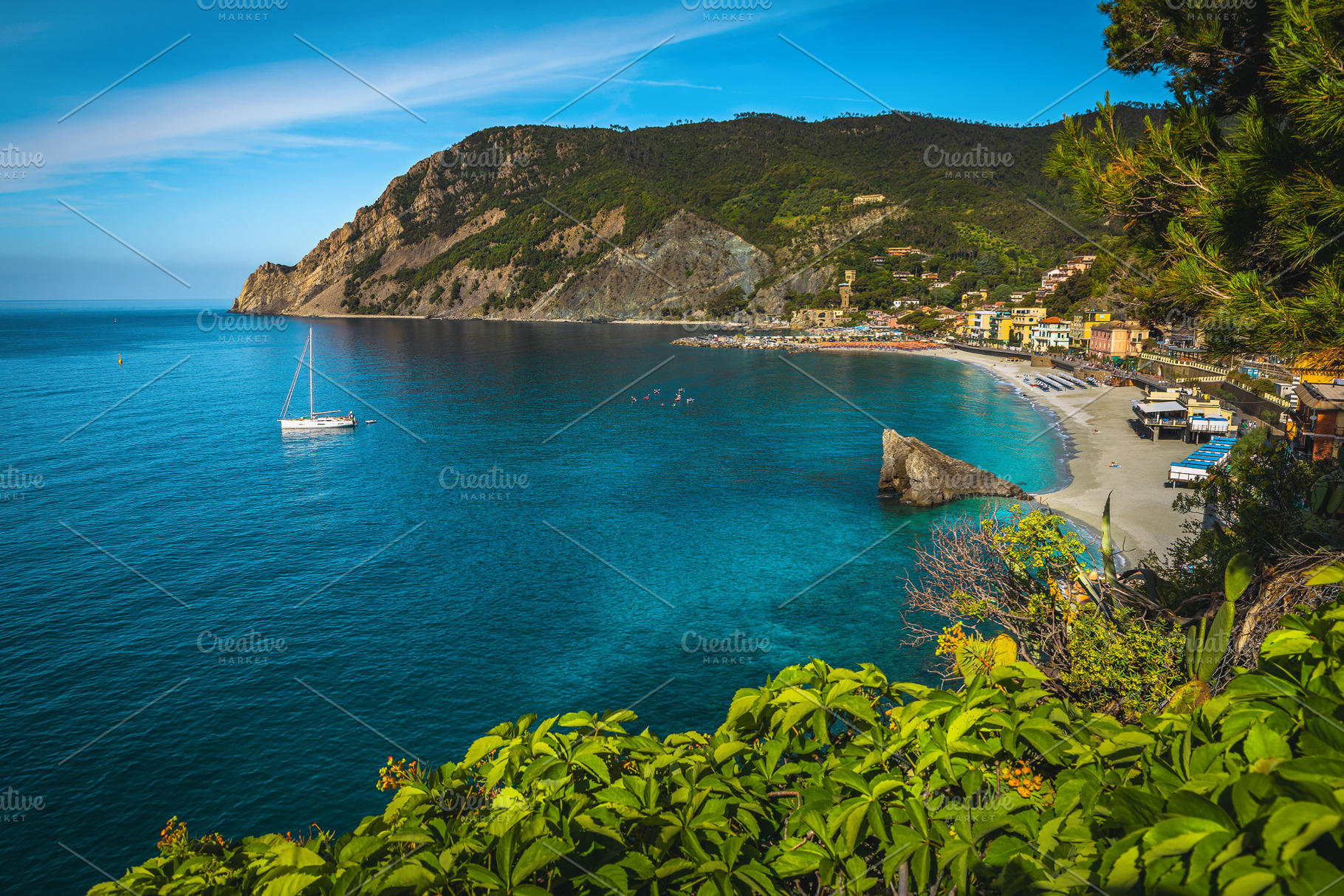 Beautiful beach view with plants, a Nature Photo by Alpine Dreams