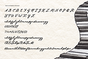 Opera de Falsetto Handwriting, a Handwritten Font by Pinakiaa Studios (Thumbnail 10 of 10)