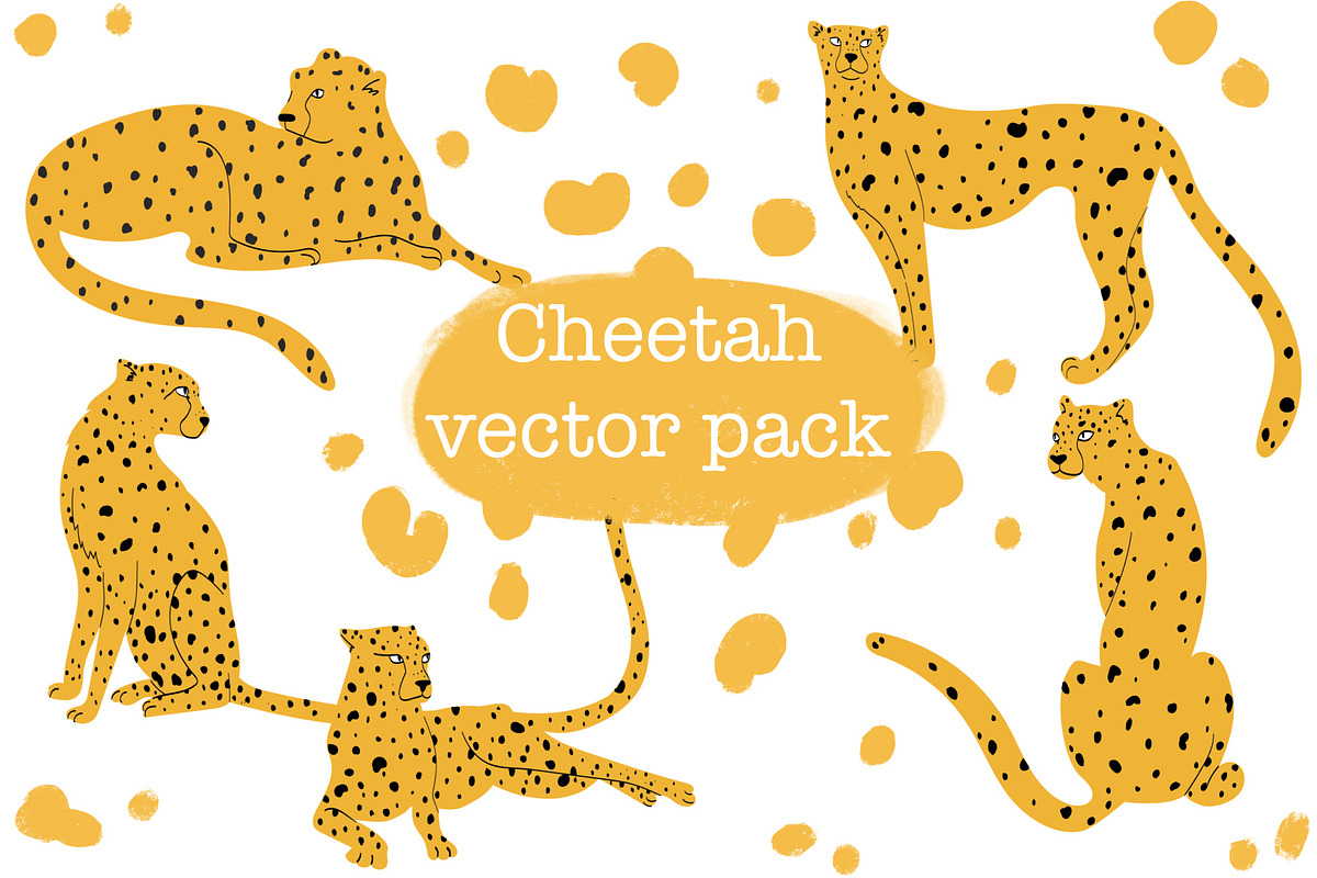 Cheetah Vector Pack, an Animal Illustration by Brunch Club Design (Photo 1 of 6)
