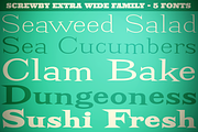 Screwby Extra Wide Family, a Serif Font by Pink Broccoli (Thumbnail 1 of 3)