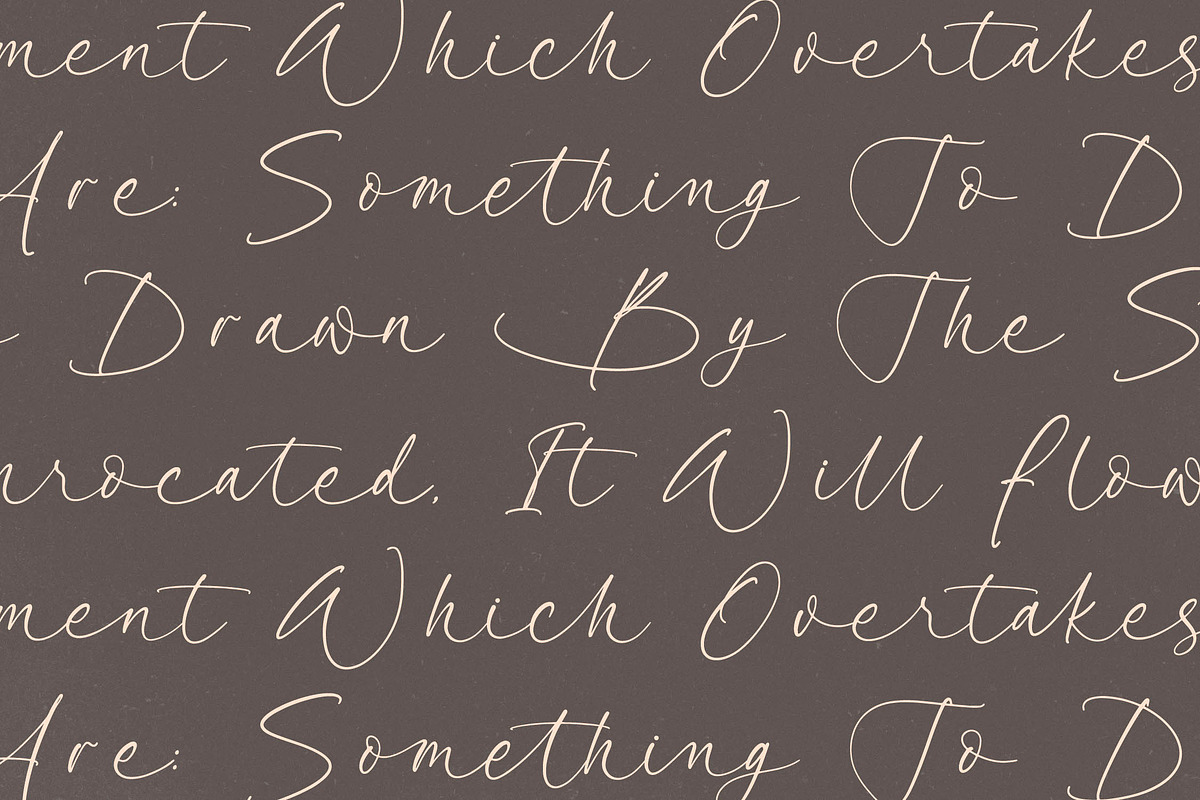 Garden Silent Elegant Script Font, a Script Font by stylishtype.co (Photo 12 of 20)