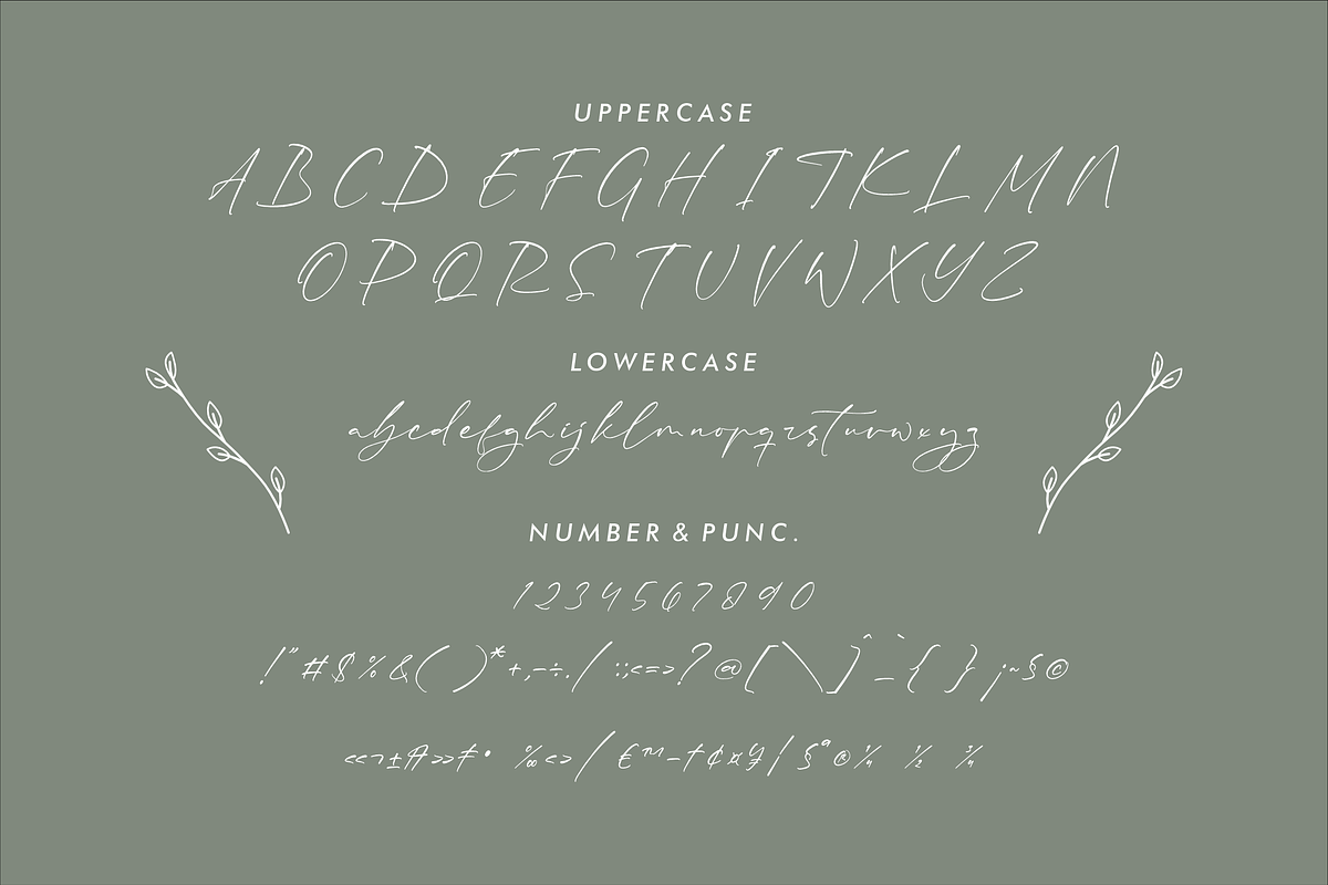 Rhastela Greams Modern Signature, a Script Font by Storytype Studio (Photo 13 of 15)