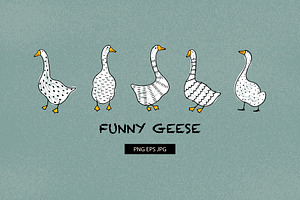 Funny geese