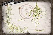 Mistletoe Watercolor Illustration, a Decorative Illustration by DioFlow (Thumbnail 3 of 5)